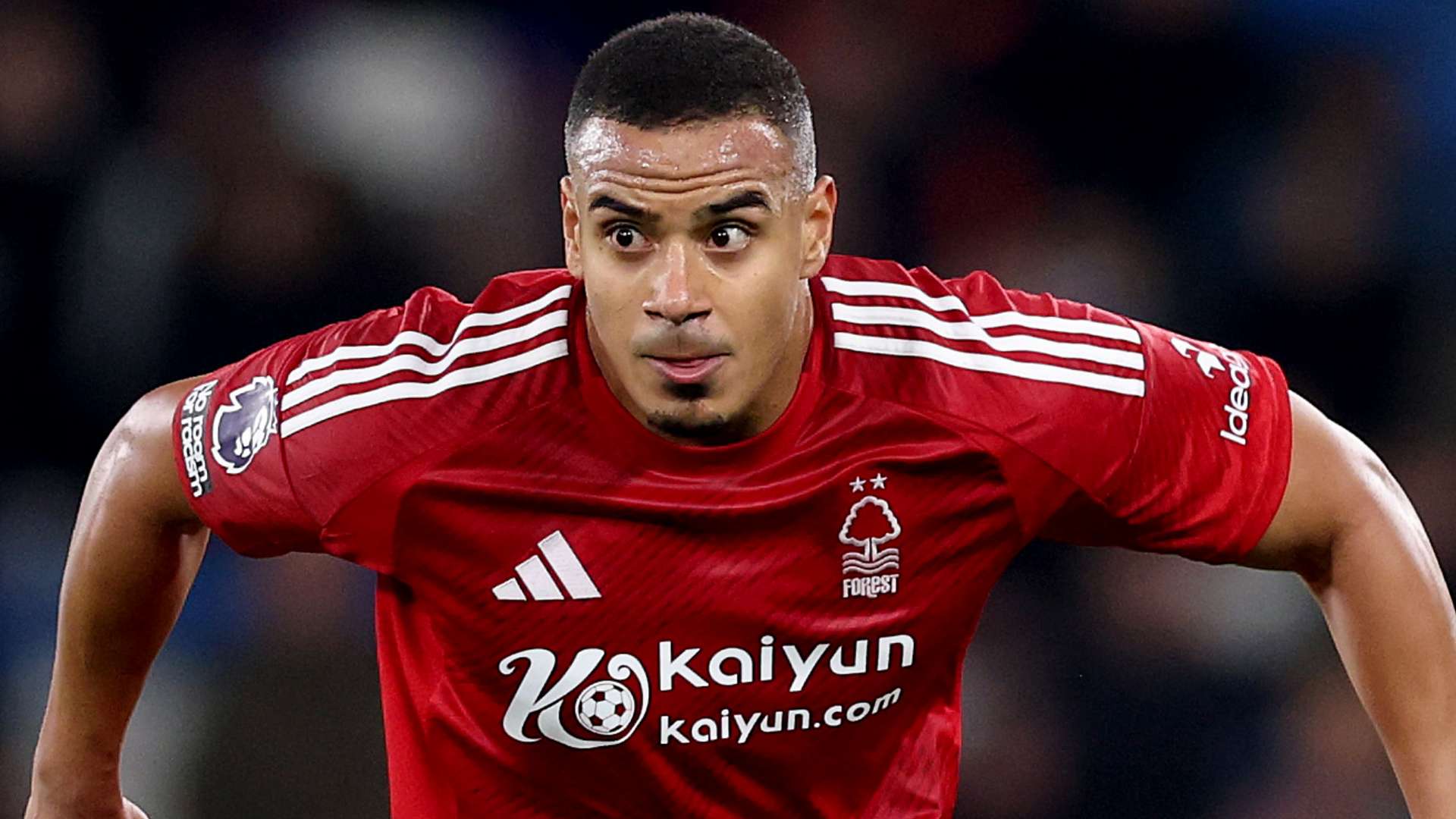 一个国家的 一个国家的